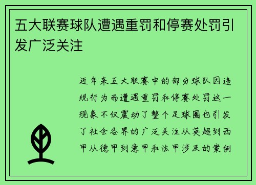 五大联赛球队遭遇重罚和停赛处罚引发广泛关注 
