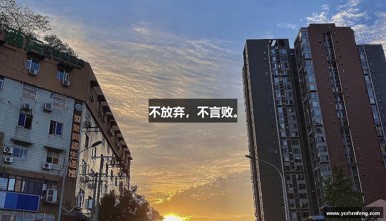 好博平台不放弃，不言败。